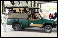 gbata-kruger-355